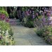Millstone NEXTpave Paving Original Project Pack 10.3m2