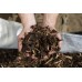 General Purpose Bark Bulk Bag 