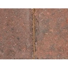 KS Keykerb Brindle