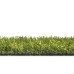 Capri Synthetic Grass 36mm
